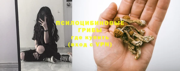 крисы Абаза