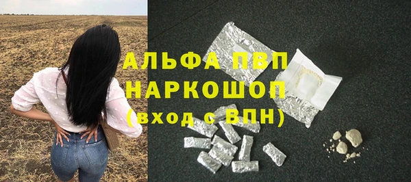 крисы Абаза
