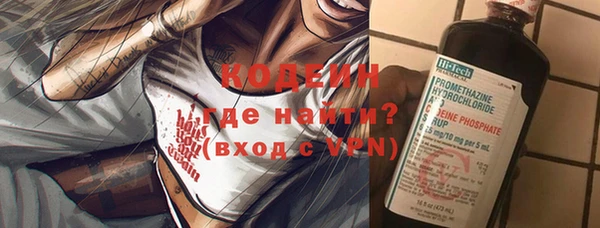 крисы Абаза