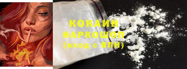 крисы Абаза