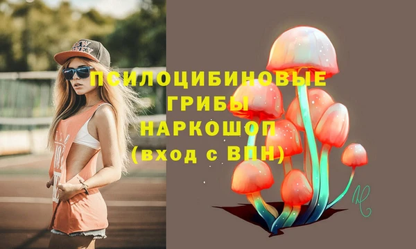 гидропоника Абинск